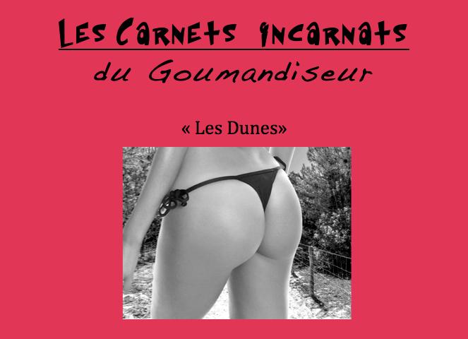 Les Dunes